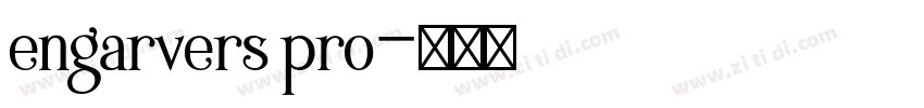 engarvers pro字体转换